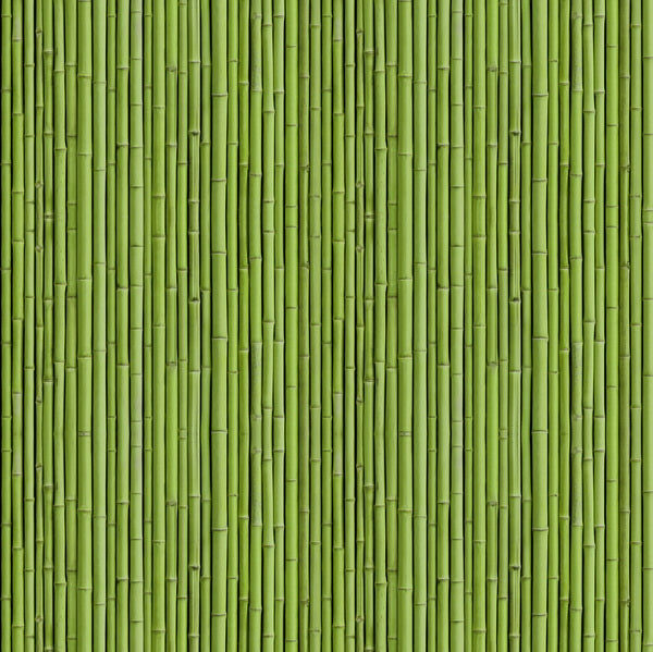 Green Bamboo Texture Pattern