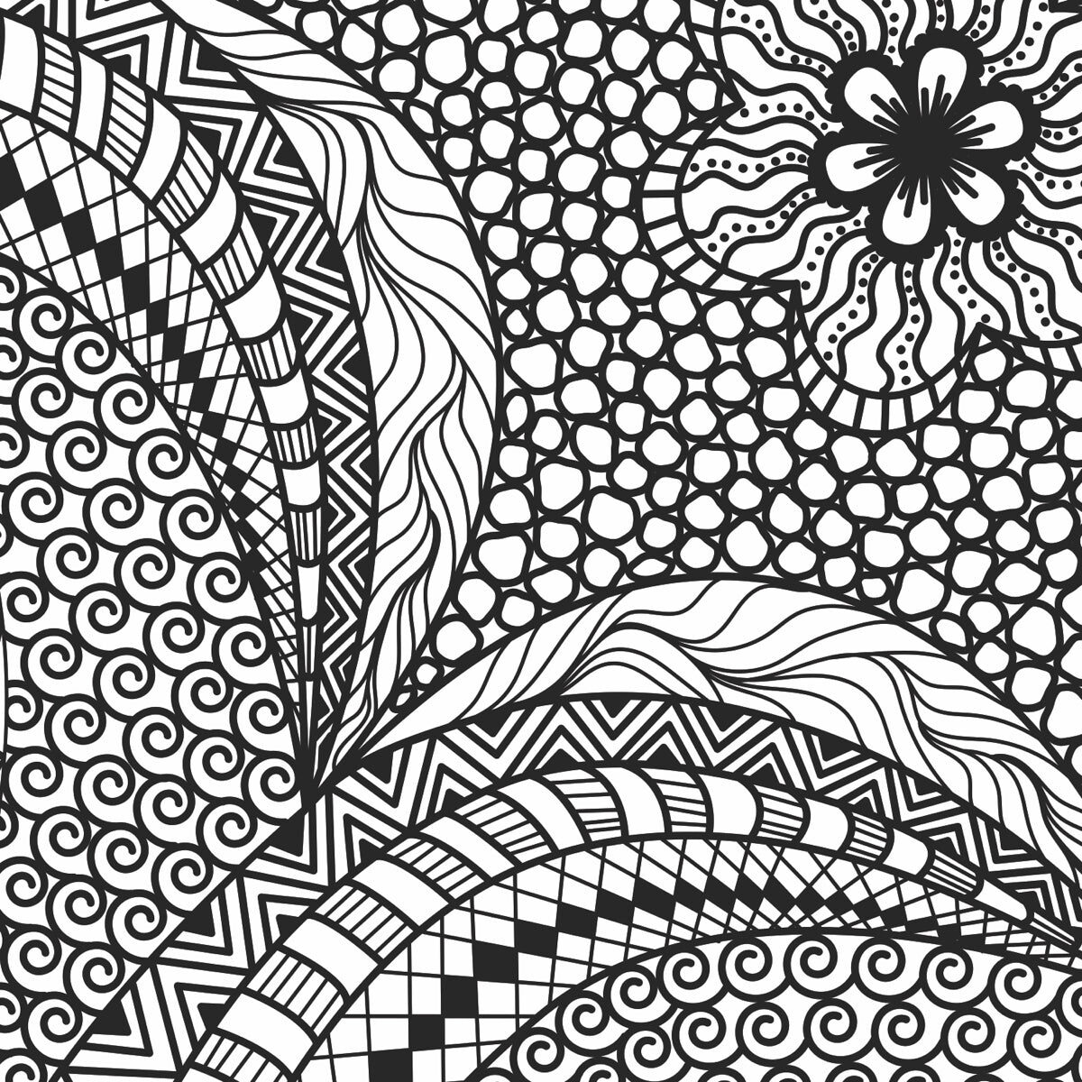 Intricate Black and White Zentangle Pattern Art