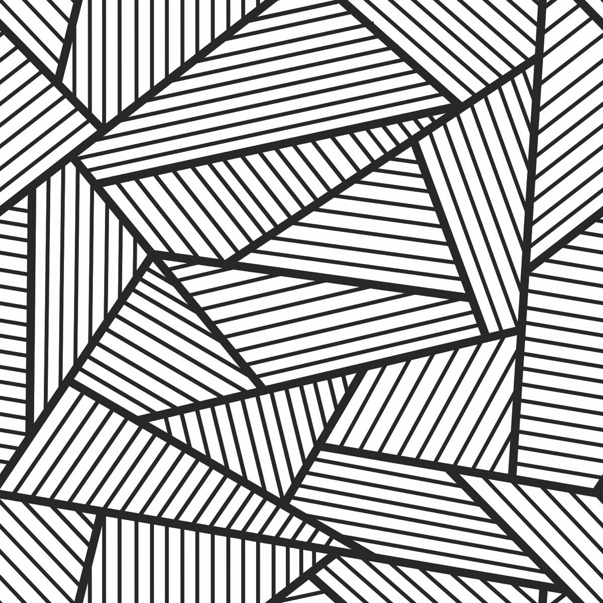 Modern Geometric Line Art in Monochrome