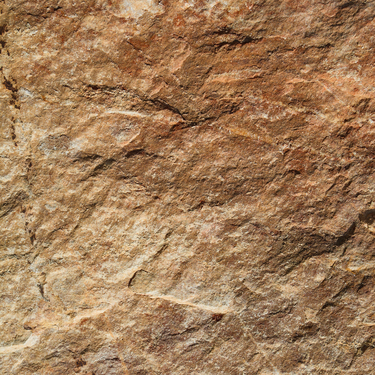 Natural Textured Brown Stone Wall Surface
