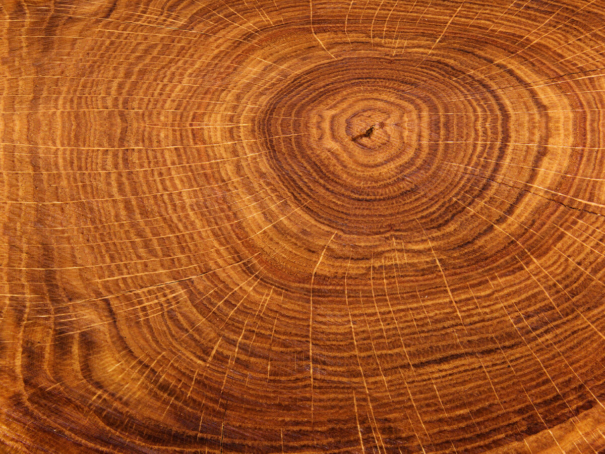 Natural Tree Trunk Wood Texture Background