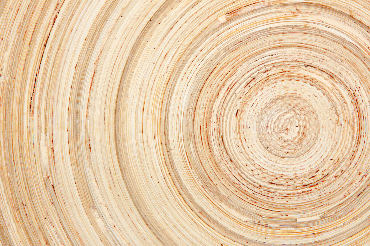 Natural Wood Grain Spiral Stretch Ceiling – Organic Texture Design