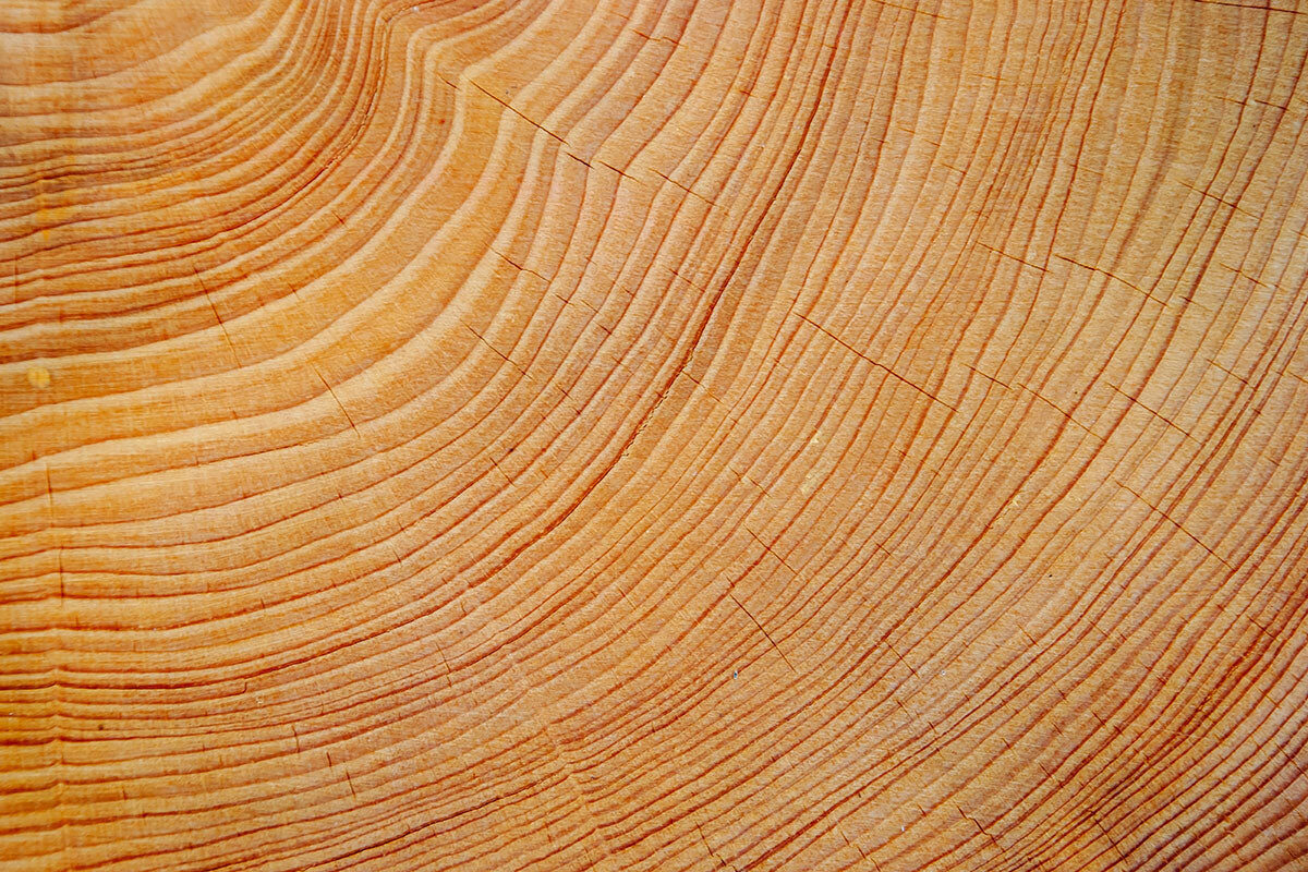 Natural Wood Grain Stretch Ceiling – Warm Timber Texture Design