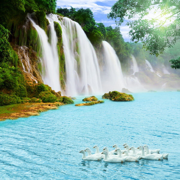 Nature’s Serenity Indoors