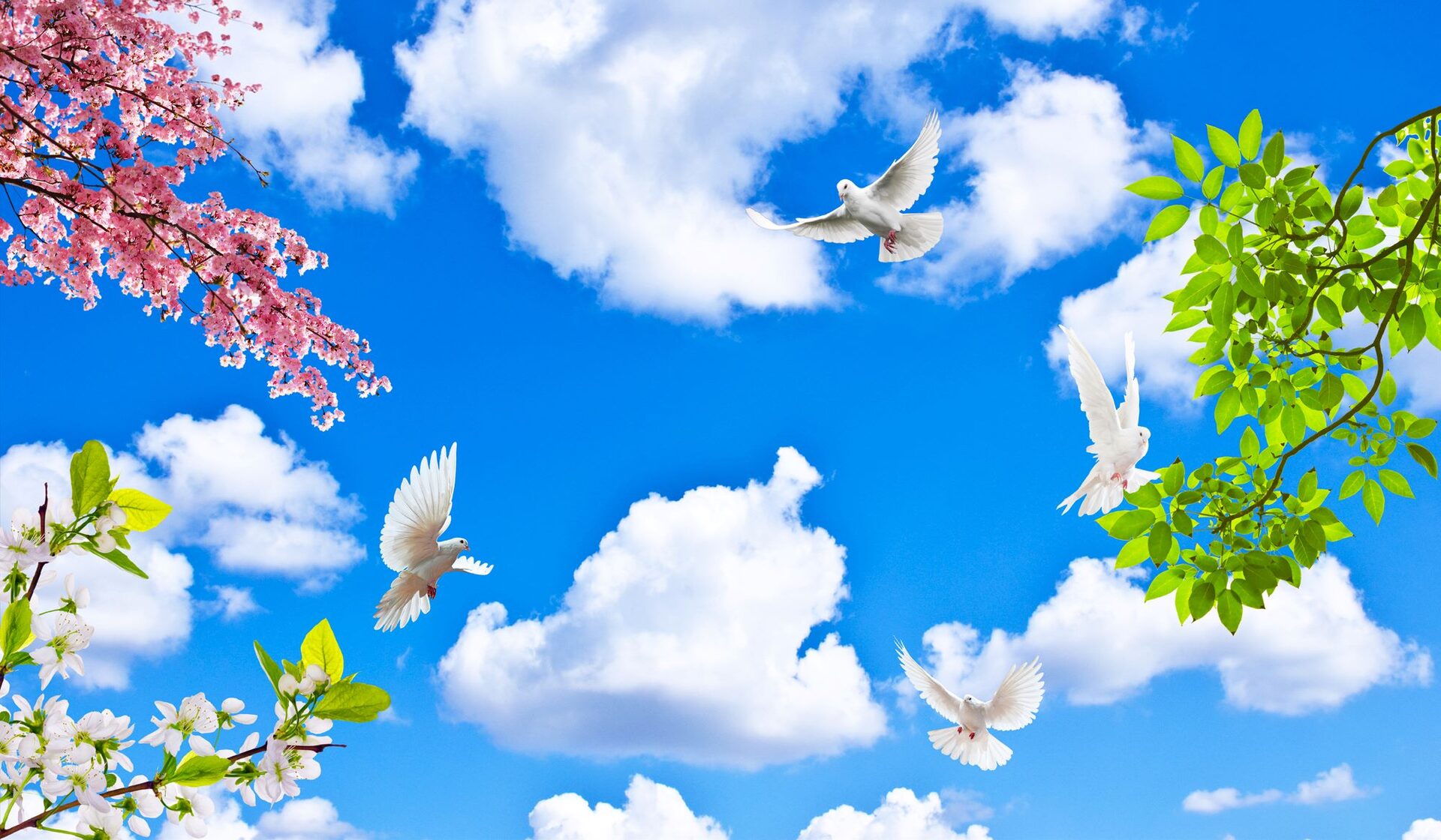 Peaceful Doves in Blossoming Sky