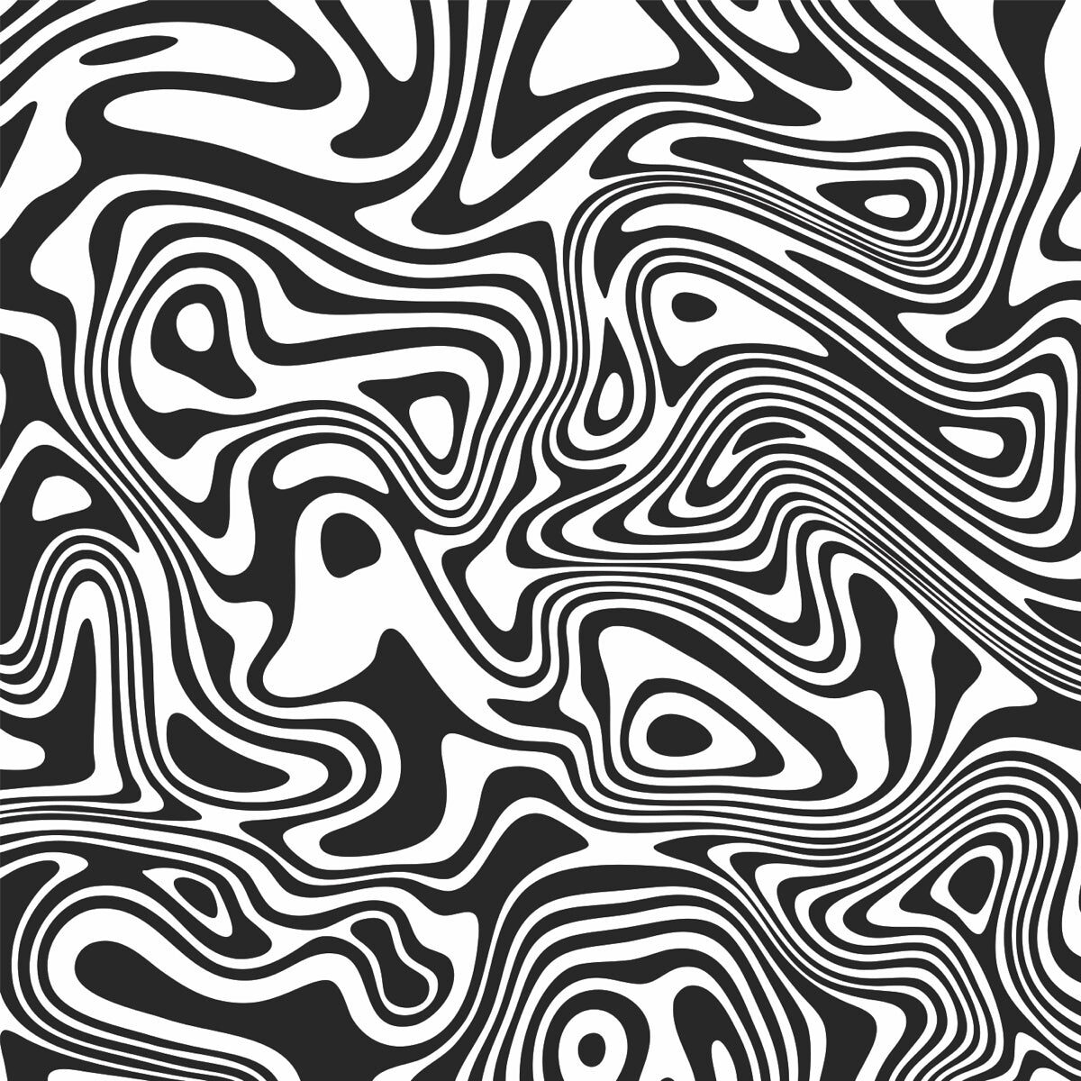 Psychedelic Black & White Abstract Pattern Panel
