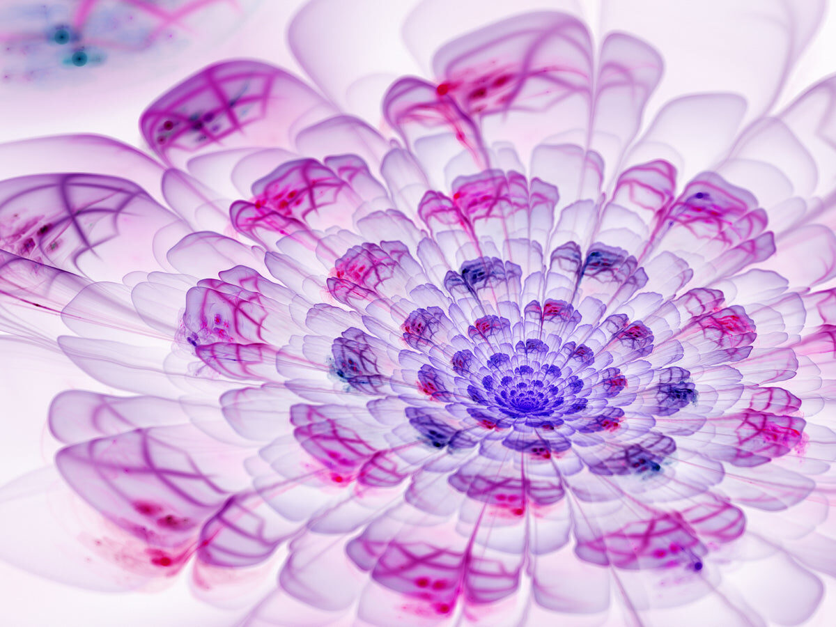 Radiant Fractal Bloom in Violet and Magenta