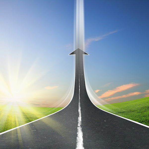 Road to Success and Beyond