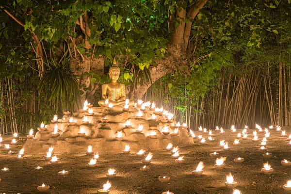 Tranquil Buddha Meditation Mural