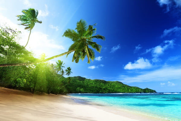 Tropical Paradise Beach with Crystal Blue Waters