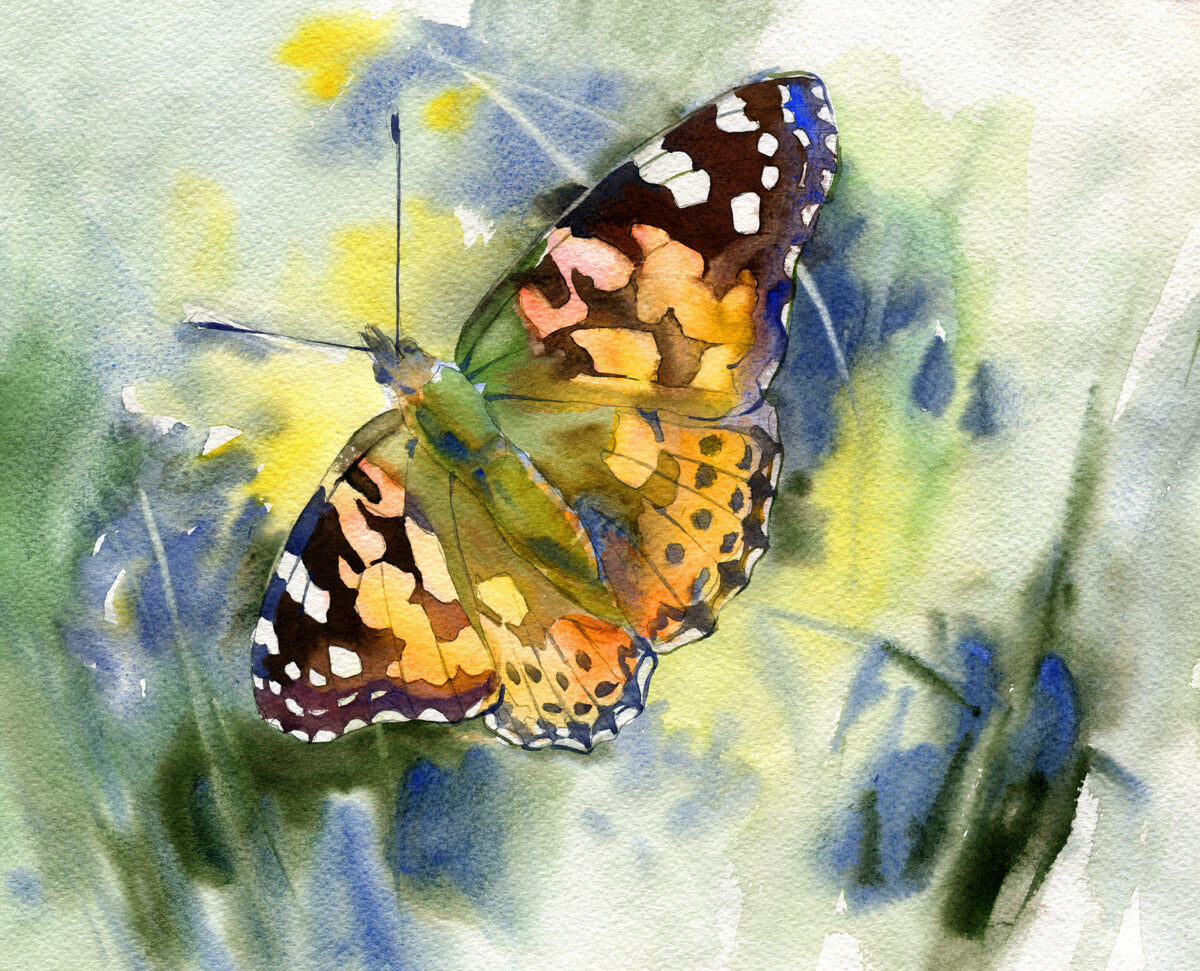 Watercolor Butterfly Art with Floral Hues